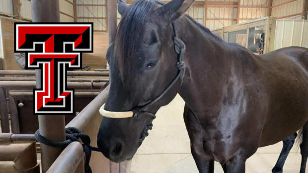 texas tech red raiders masked rider